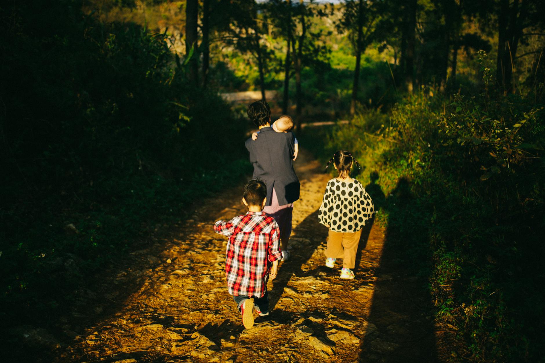 Rodzina z dziećmi spaceruje leśną ścieżką w słoneczny dzień